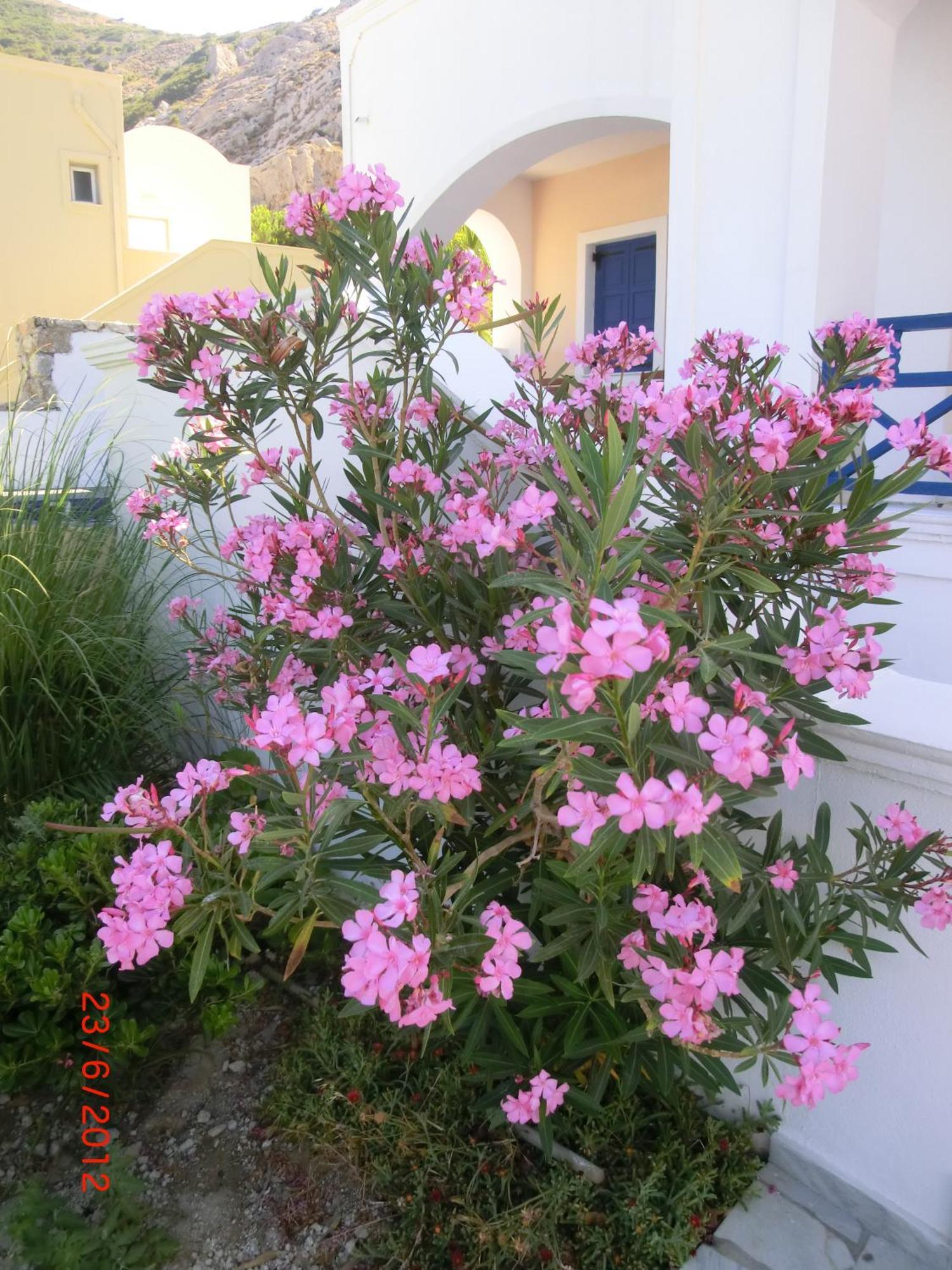 Aegean View Hotel Kamári Exteriér fotografie